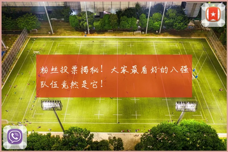 粉丝投票揭秘！大家最看好的八强队伍竟然是它！